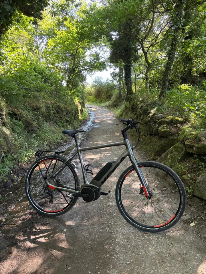 Slow Ride Bikes